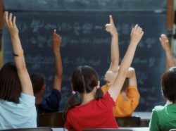 kids raising hands in class
